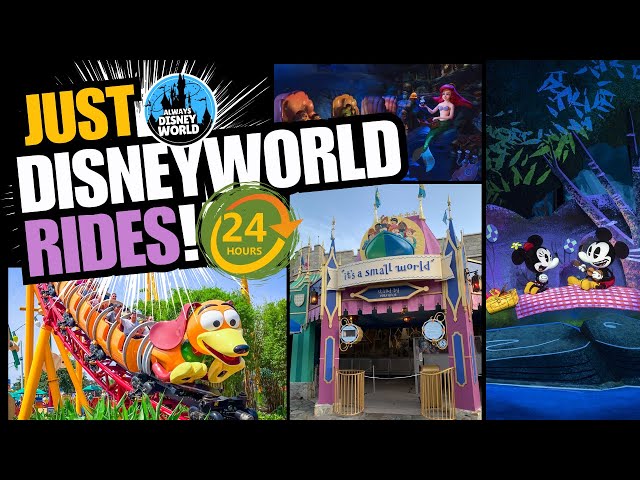 🔴 Live 🔴 WIN A DISNEY WORLD Mystery BOX NOW! POV Disney World Rides 24/7