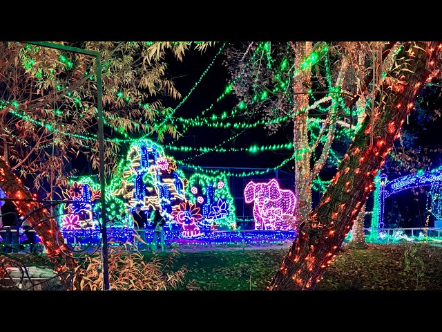 Holiday Lights 2024 at California Living Museum, Bakersfield CA