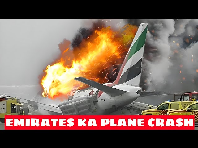 Why Emirates is World No 1 Airline?? | Full Documentary #emirates #dubai #viralvideo #facts #100k