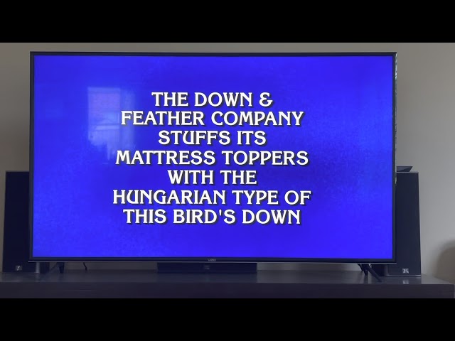 We Make a Splash on Jeopardy | Down & Feather Co. Luxury Down Bedding