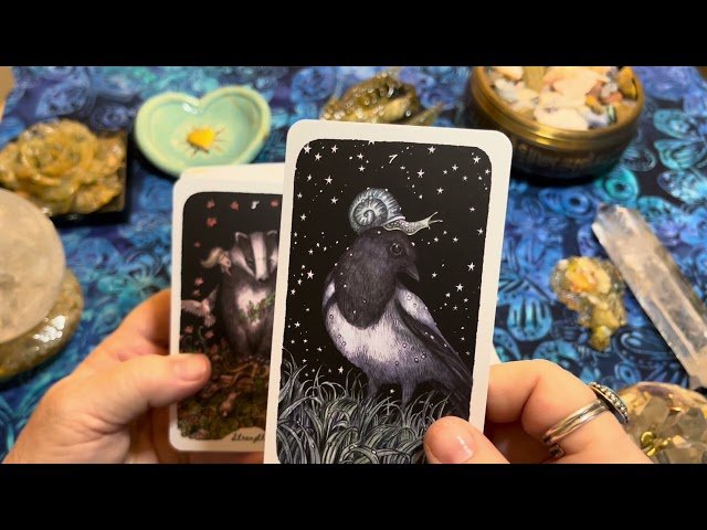 Deck Walk Through of Oak, Ash & Thorn Animal based Tarot Deck by Stephanie Burrows and Adam Oehlers