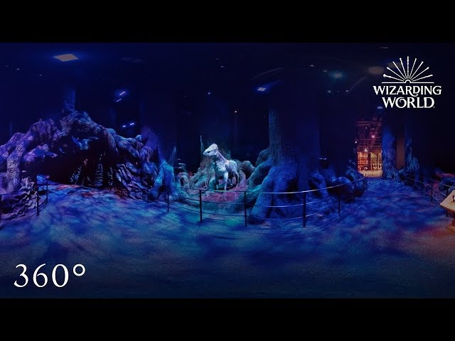 The Forbidden Forest | 360 Video | Wizarding World