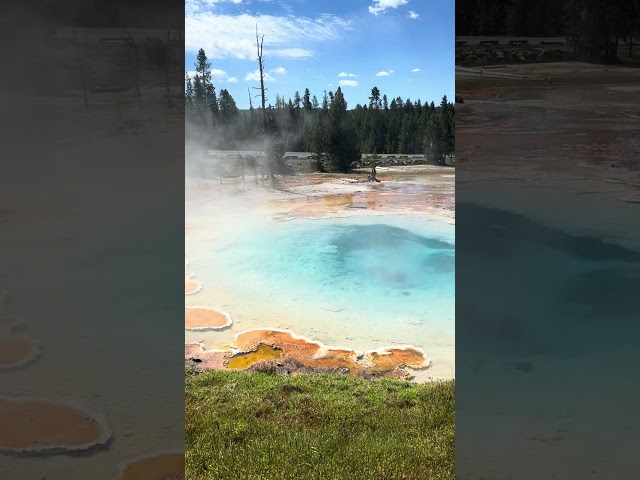 #yellowstone #viralvideo #shortvideo #amazing #travel