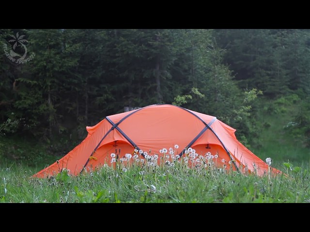 ⛺ The Sound of Raindrops Falling on a Canvas Tent. Rain Ambience will Make You Sleepy and Relaxed.