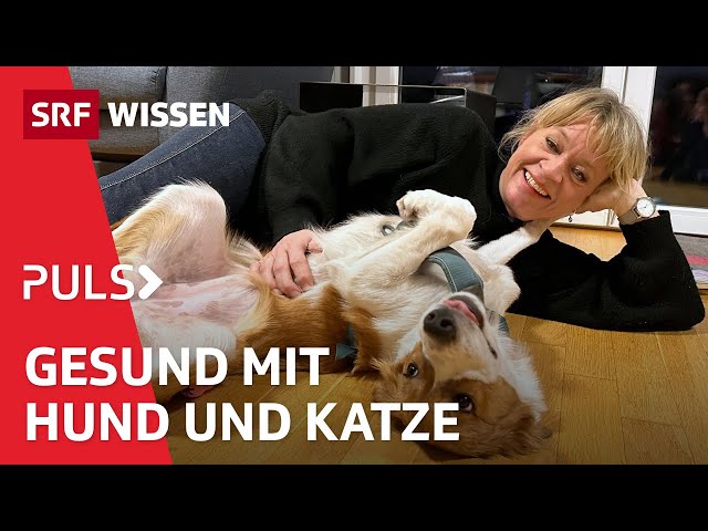 Hunde und Katzen: Wie positiv sind Haustiere für deine Gesundheit | Puls | SRF Wissen