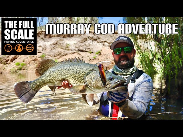 Murray Cod Kayak ADVENTURE | The Full Scale