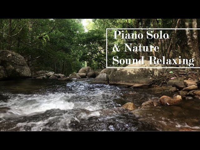 3 Hours Classical Piano Solo And Forest River Sounds -  Nature Sounds for Studying and Relaxing # 1