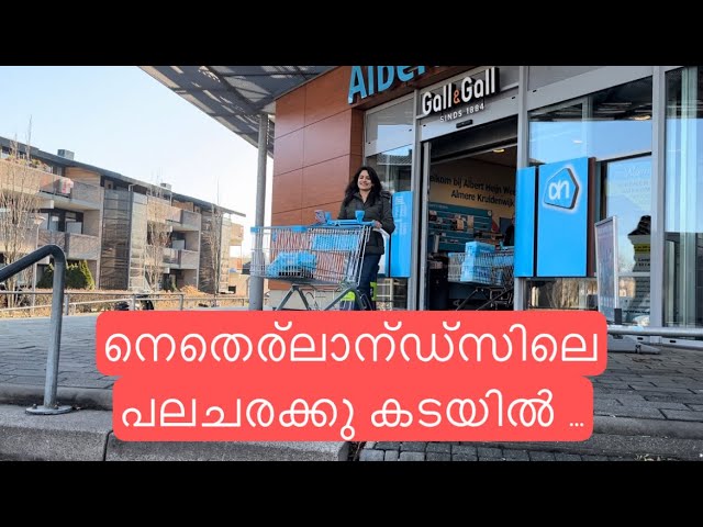 നെതെര്ലാന്ഡ്സിലെ പലചരക്കു കടയിൽ/ GROCERY SHOPPING IN THE NETHERLANDS w/ Dutch Malayalee 🇳🇱