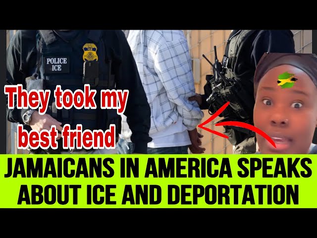 UNDOCUMENTED JAMAICANS IN AMERICA  PANICKING ABOUT ICE AND DEPORTATION LISTEN TO THIS😮