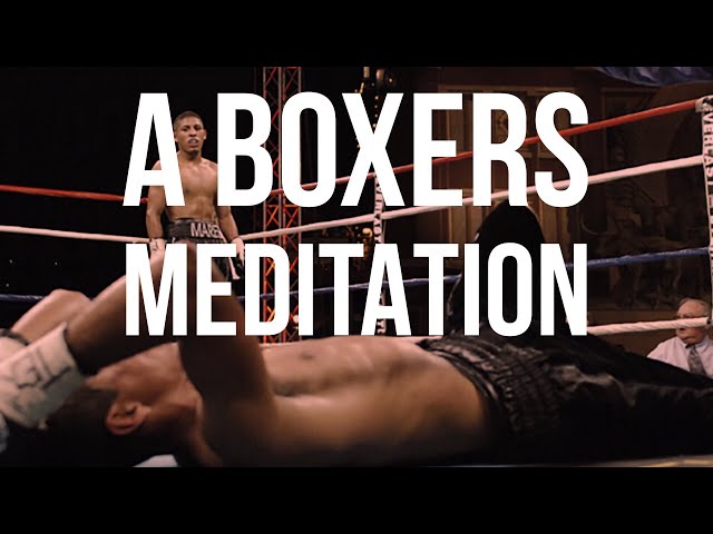 A Boxers Meditation: 360 Healing Binaural Beats