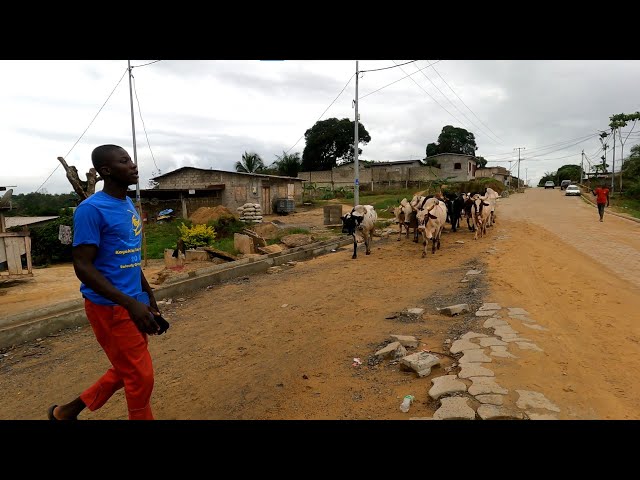 The Only Village With a Wi-Fi [ THE BAKOTA VILLAGE ] - #africa Gabon