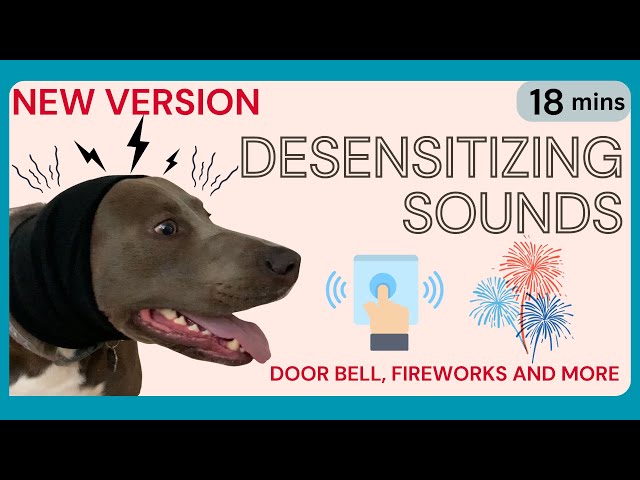 #2023 DESENSITIZE YOUR DOG (Sound Triggers: Doorbell, Thunder, Fireworks, Barking, Vacuum)