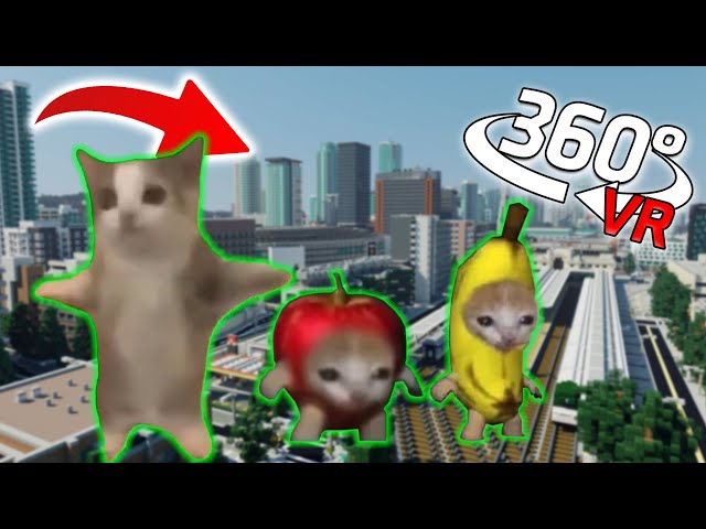 Happy Happy Happy Cat Finding Challenge 360º VR Video - 28