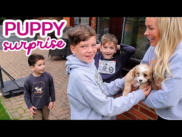 SURPRISING THE KIDS WITH A PUPPY! 🥺 + PUPPY HAUL