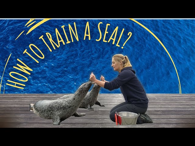 Animal training & positive reinforcement