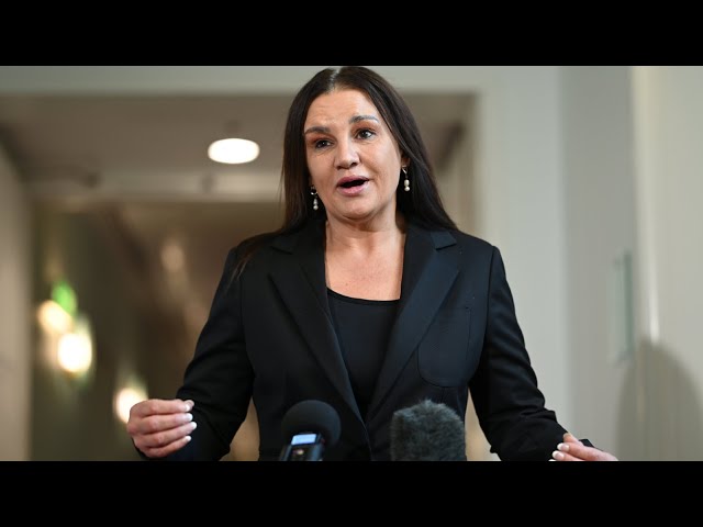 ‘Need to get to the bottom of this’: Jacqui Lambie reveals her priorities for 2025