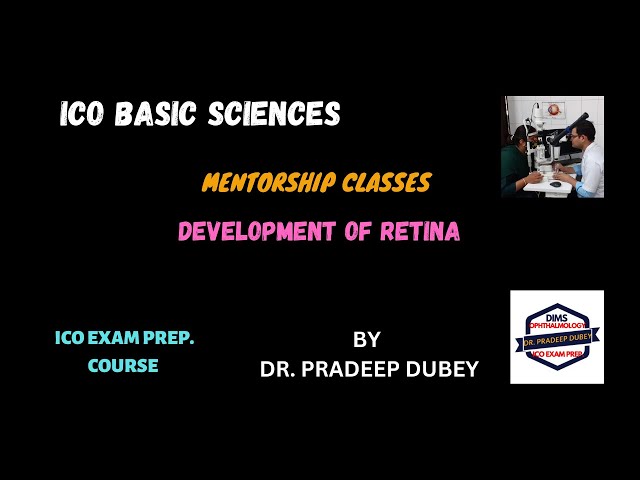 Development of retina #Basic Sciences #ICO Exams #Dr. Pradeep Dubey #DIMS FUNDA #DIAGRAM IMAGINATION