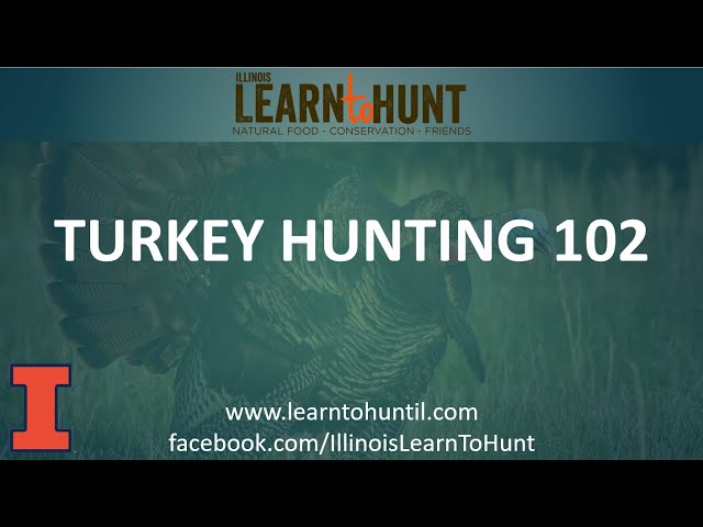 Turkey Hunting 102