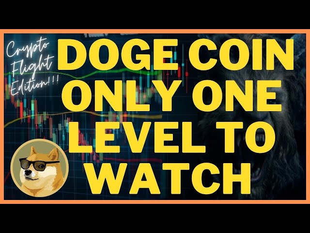 DOGE COIN ONLY ONE LEVEL TO WATCH | PRICE PREDICTION | TECHNICAL ANALYSIS $DOGEUSD