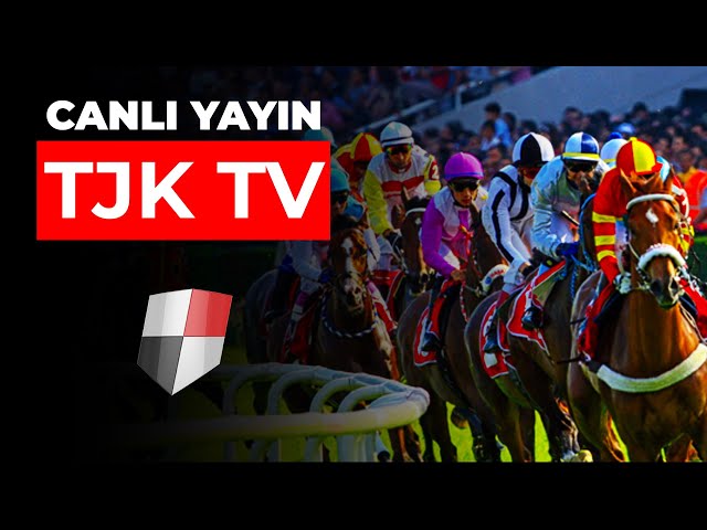 TJK TV Canlı Yayın