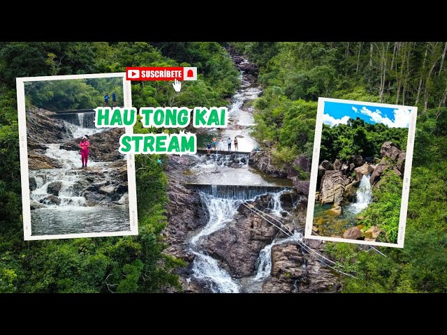 猴塘溪 THIS HOW WE LOST AT HAU TONG KAI STREAM | TAI TAN COUNTRY TRAIL  | STARTING POINT大灘郊遊徑 | PART1