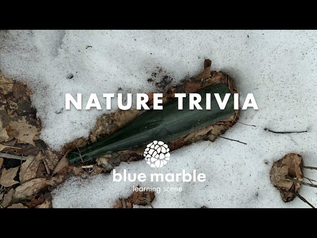 Nature Trivia | What's in this bottle | blue marble