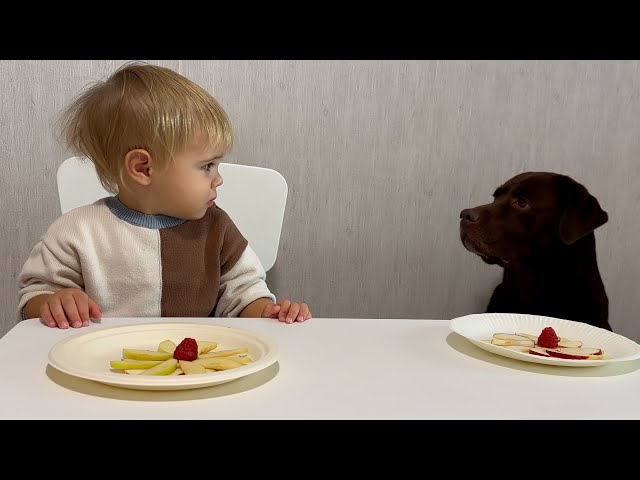 FUNNIEST Baby and Dog Duo Ever!