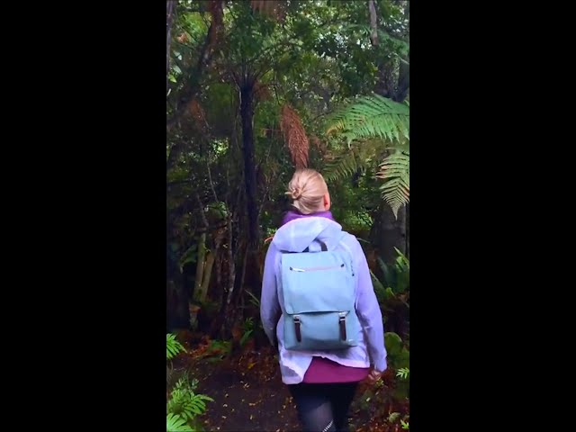 Enjoy the scenery and wildlife on one of Stewart Island’s beautiful walks 🙌 #NZMustDo | New Zealand