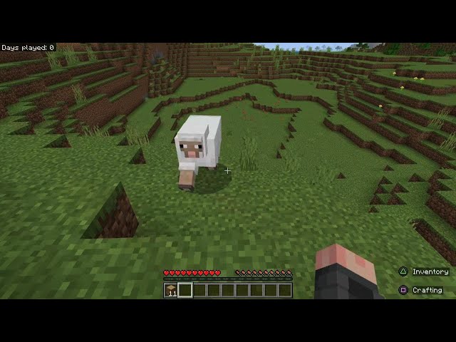 Minecraft Part 1 of series