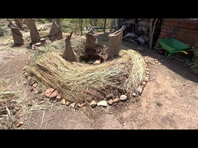 Hawa’s Sponge Homestead: Final Walkthrough after Mulching and Amendments - Kadugli, Sudan Oct 2022