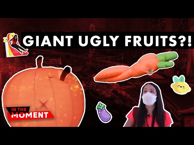 i Light Singapore 2022: Why giant 'ugly' fruit?