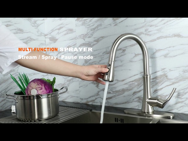 WOWOW Kitchen Faucet with Pull-out Sprayer Sink Faucet Stainless Steel with Deck Plate