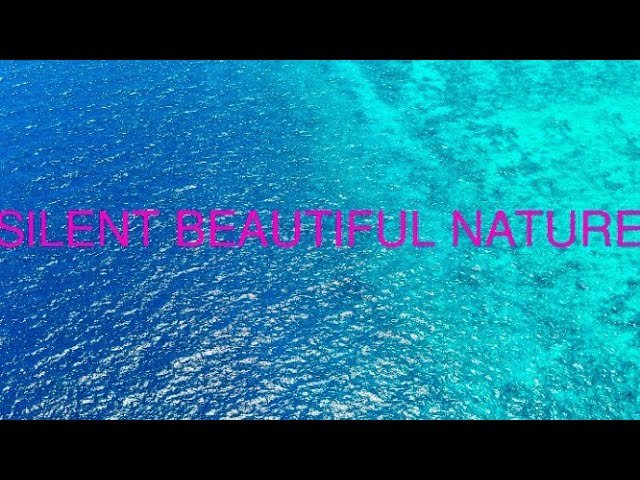 Where Deep Meditation Peaceful Beautiful Nature Relax Stress Relief MusicVideo Calm Background Music