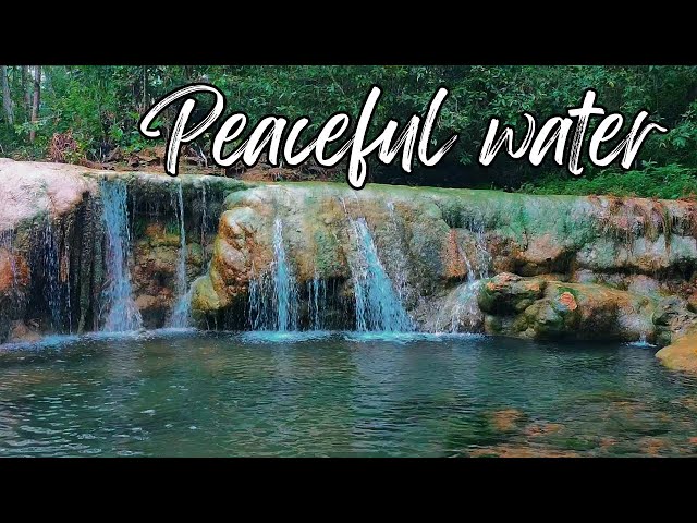 Relaxing Spa Music • Gentle Sounds of Water 🌳 Relieves Stress and Anxiety,calm 43