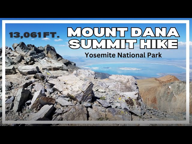 Mount Dana Summit Hike | Yosemite National Park