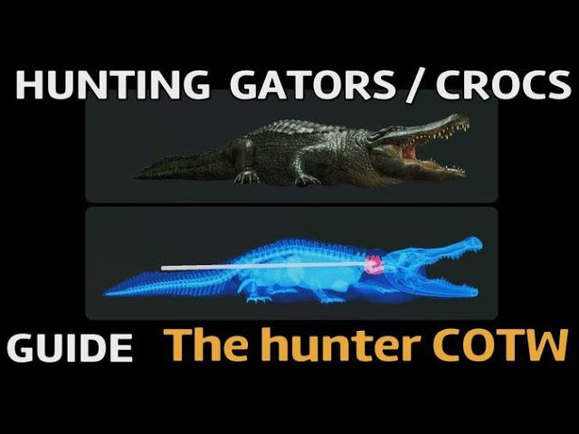 The hunter COTW ALLIGATOR & CROCODILE hunting GUIDE. Aiming & weapon, shot placement tutorial