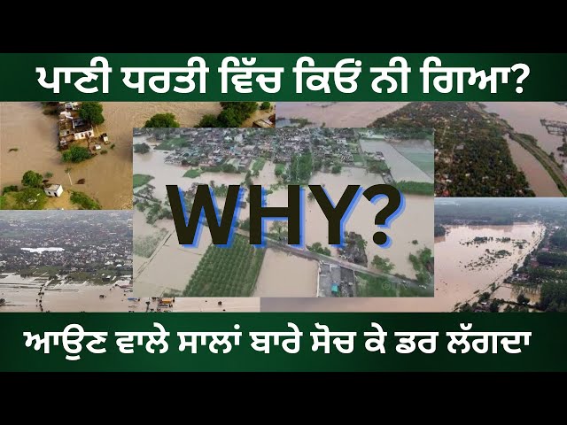 The Future of Punjab: How to Avoid Devastating Floods I Puniab Floods #bhagwant mann