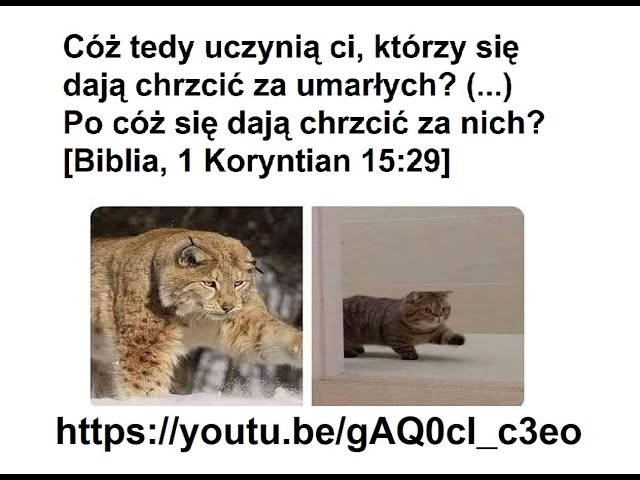 Q+A8910 Biblia mówi o chrzcie za umarłych? Czym jest chrzest nad zmarłymi? Będzie w 7-letnim ucisku?