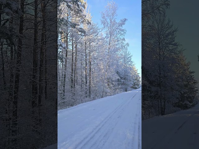 Солнечное утро #деревня #snow #winter #зима #relaxing #nature #природа