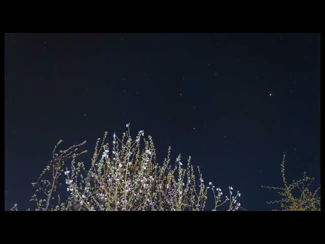 what a beautifull view of the night sky Star  🙉| with moon and relaxing music