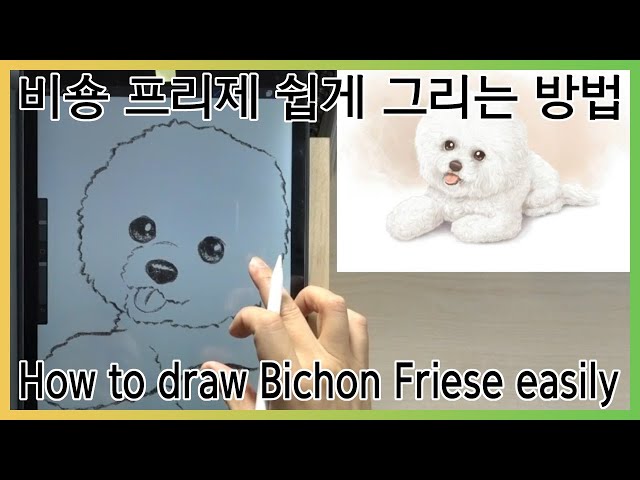 비숑 프리제 쉽게 그리는 방법(How to draw Bichon Friese easily)