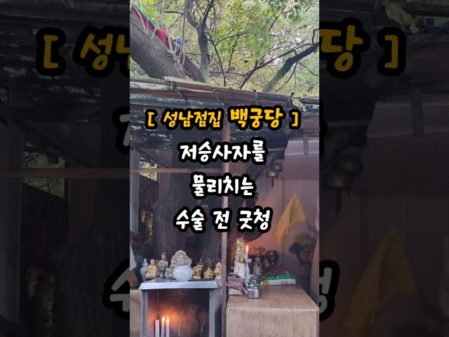 수술 전, 어머니를 찾아올 저승사자를 내쫓는 굿청