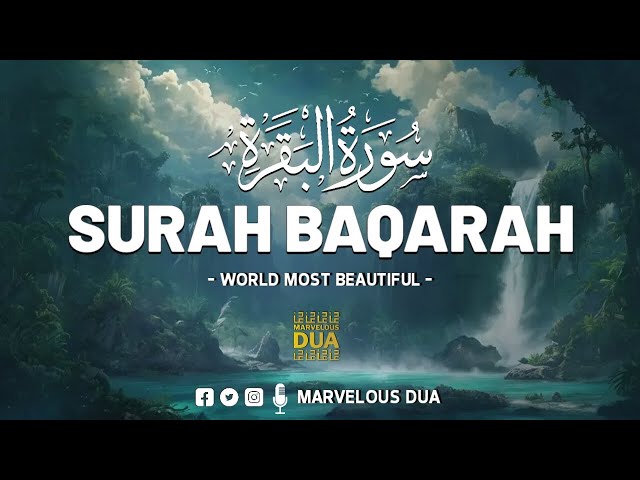 Surah Al Baqarah Full سورة البقره ✦ Relaxing Calming & Heart Touching Quran ✦ Marvelous Dua