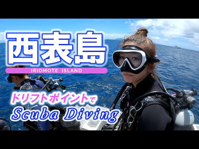 Scuba diving in Iriomote Island. Okinawa,JAPAN. Encountering manta rays and schools of fish.