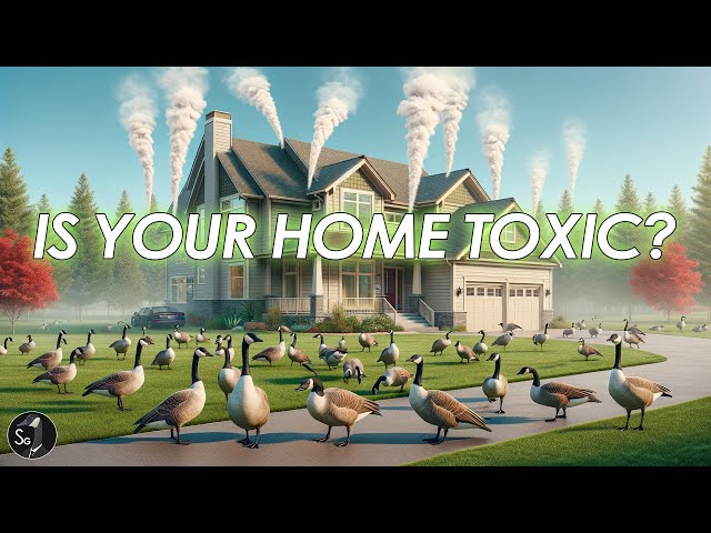 Is Your Home Toxic? | Tech Wednesday