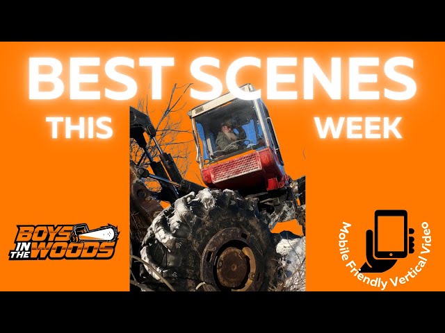 Missouri logging - Best logging action scenes from this week #asmr #logging #action #skidder