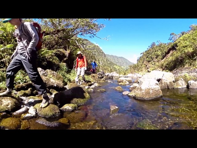 Protecting Kauaʻi  (360° Video)