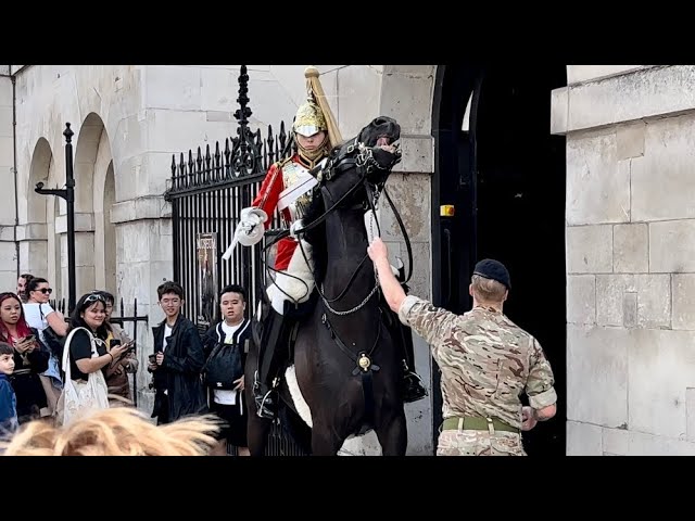 Incredible Rescue: Royal Guard’s Heroic Handling of Rogue Horse