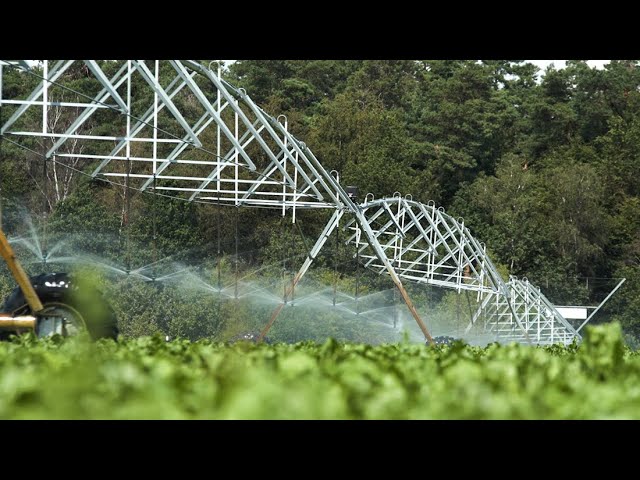 Sustainable Irrigation of Potatoes