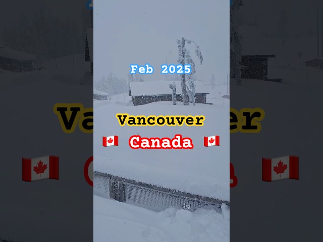 Heavy Snowfall in Vancouver #2025 #winter #snow #canada #travel #photography #grousemountain #life